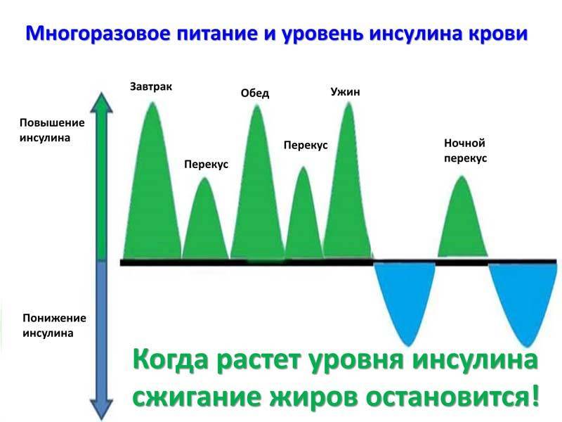 Ожирение и гормон лептин - fitlabs / ирина брехт