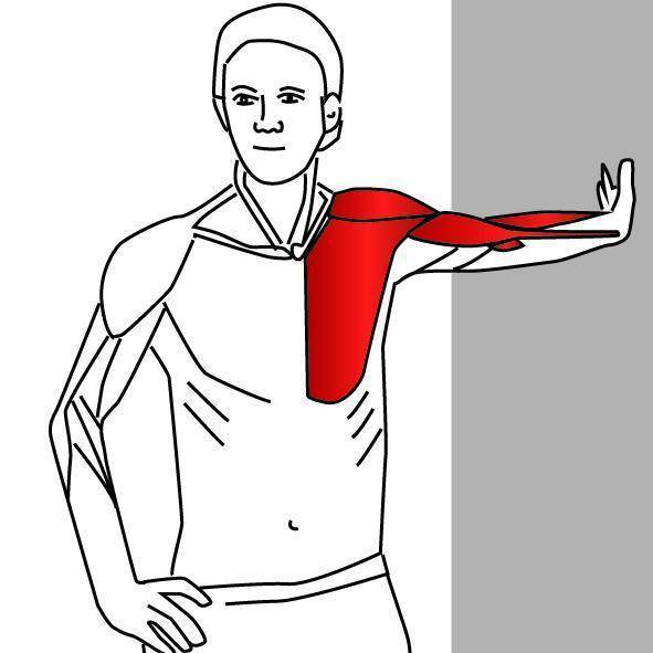 Растяжка рук и плеч, упражнения для растяжки плечевого пояса - sportobzor.ru
