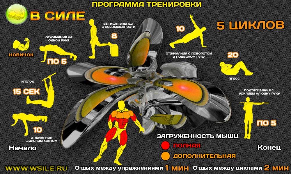 Кроссфит: программа тренировок для мужчин на видео от fitnessera.ru