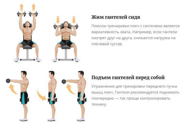 Комплекс упражнения с гантелями в домашних условиях для мужчин: программа тренировки с гантелями дома на 3 раза в неделю для набора массы и похудения