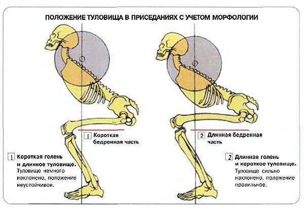 Тренировка с отягощением без травм плеча | fpa