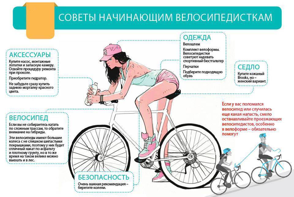 Какие типы мышц работают при езде на велосипеде, польза езды и противопоказания