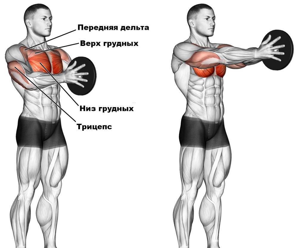 Как накачать грудные мышцы в домашних условиях мужчине: топ 8 упражнения на грудь дома