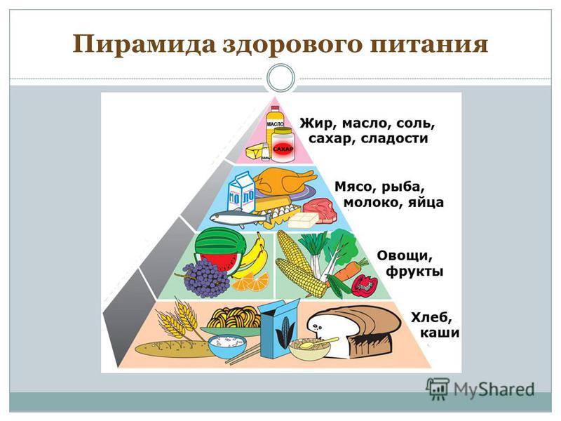 «пирамида питания». диетология: руководство