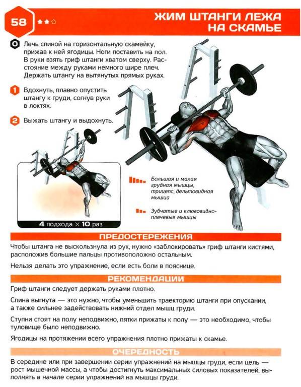 Как правильно делать жим штанги лёжа – руководство по выполнению упражнения | rulebody.ru — правила тела