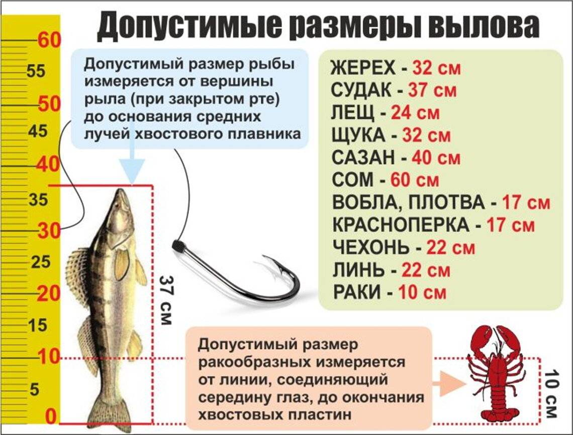 Карта запрета ловли в калининградской области