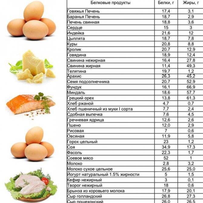 В каких продуктах содержится больше всего белка, список