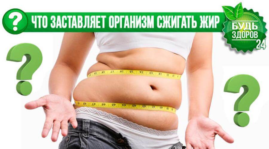 Лишний вес: причины и способы избавления * клиника диана в санкт-петербурге