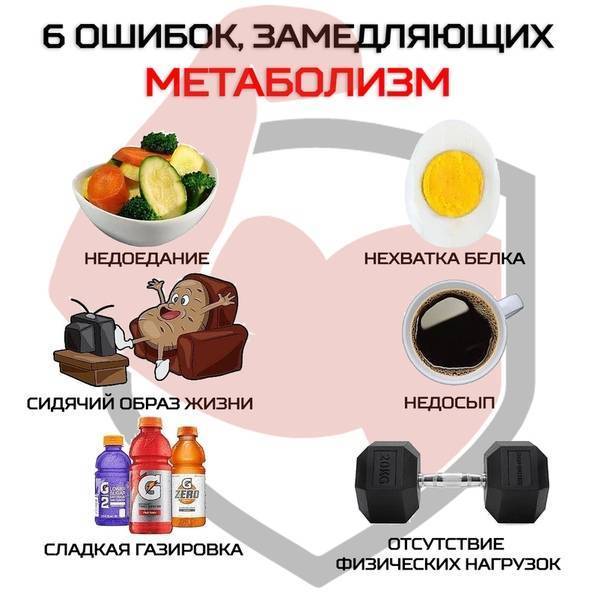 Диета для ускорения метаболизма: принципы построения плана питания и таблица продуктов