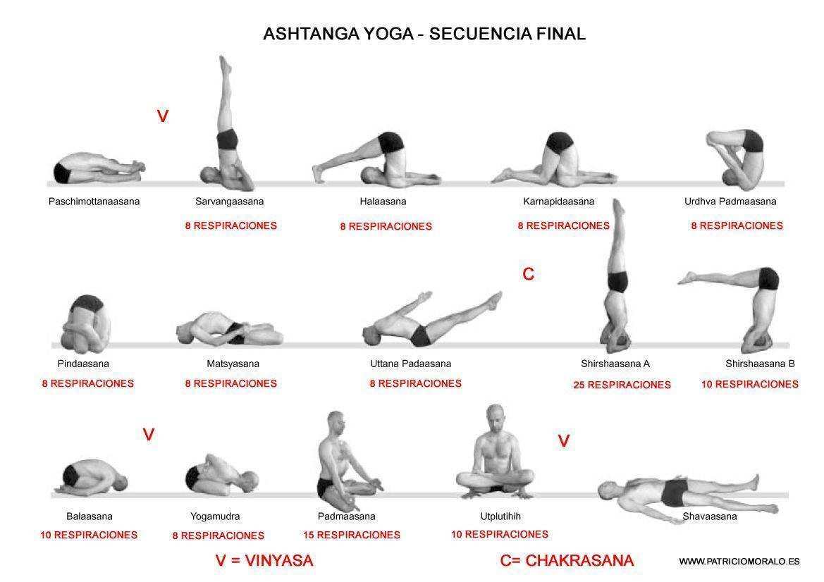 Шивананда йога. подготовка преподавателей йоги в нетале -