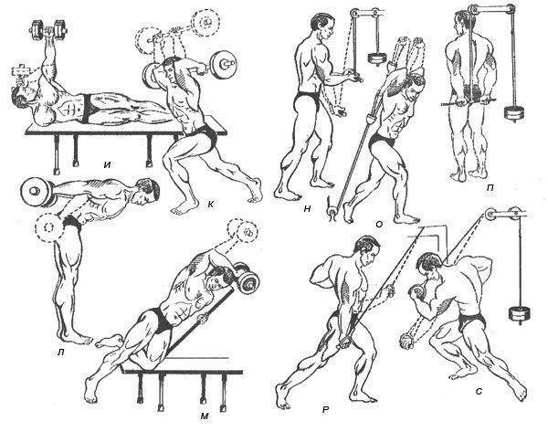 Как накачать трицепс - упражнения и схемы тренировок