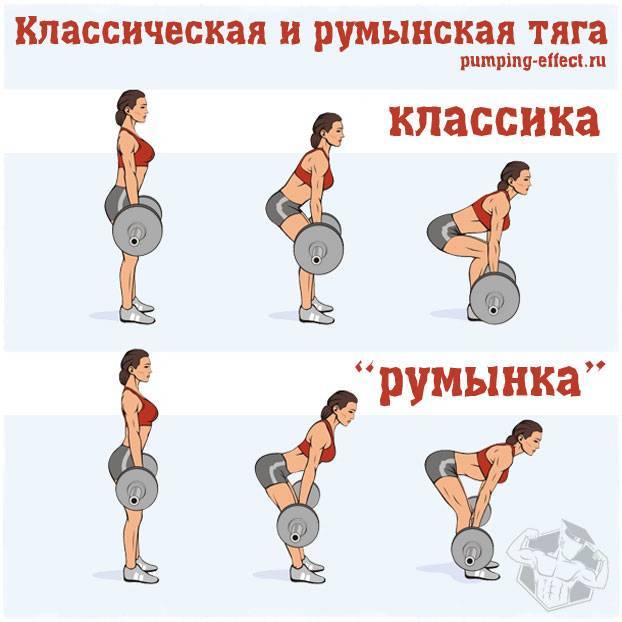 Румынская тяга со штангой для женщин. техника выполнения, какие мышцы работают, эффект. видео, фото