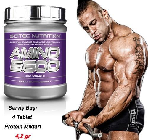 Amino 5600 от scitec nutrition: как принимать, отзывы