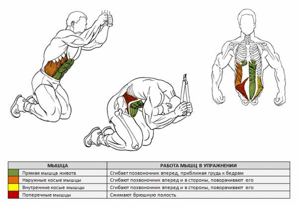 21 упражнение для мышц пресса и спины со своим весом