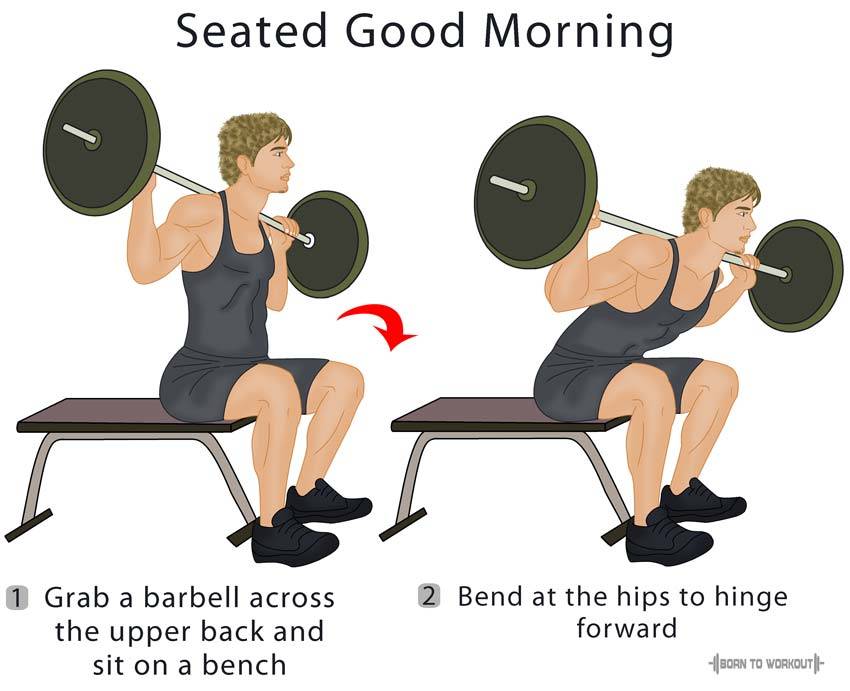 Упражнение «good morning» — простое, но эффективное упражнения для бёдер и ягодиц. обсуждение на liveinternet
