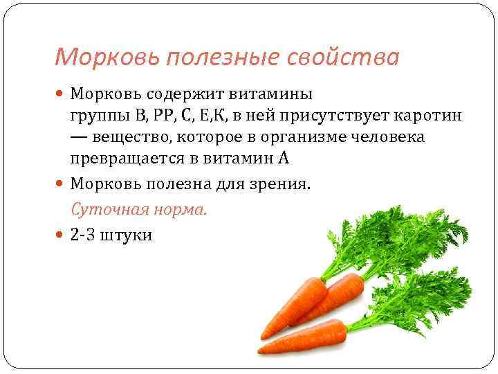 Морковь - калорийность, полезные свойства, польза и вред, описание