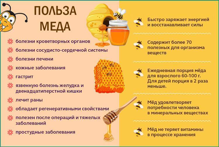 Калорийность натурального меда: таблица по сортам и бжу