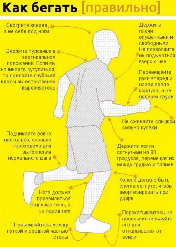 Как правильно бегать чтобы похудеть в животе и ногах за короткий срок
