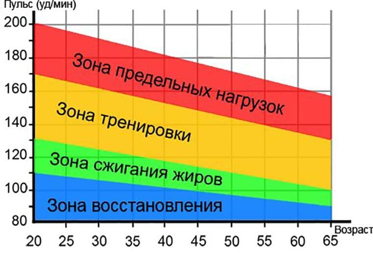 Кардиотренировки fitness3000.ru — что это такое? ответы на самые популярные вопросы