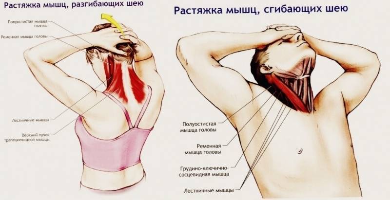 Тянет шею справа. Как расслабить мышцы шеи. Растяжка мышц разгибающих шею. Как расслабить мыщцышеи. Растяжка ременной мышцы шеи.