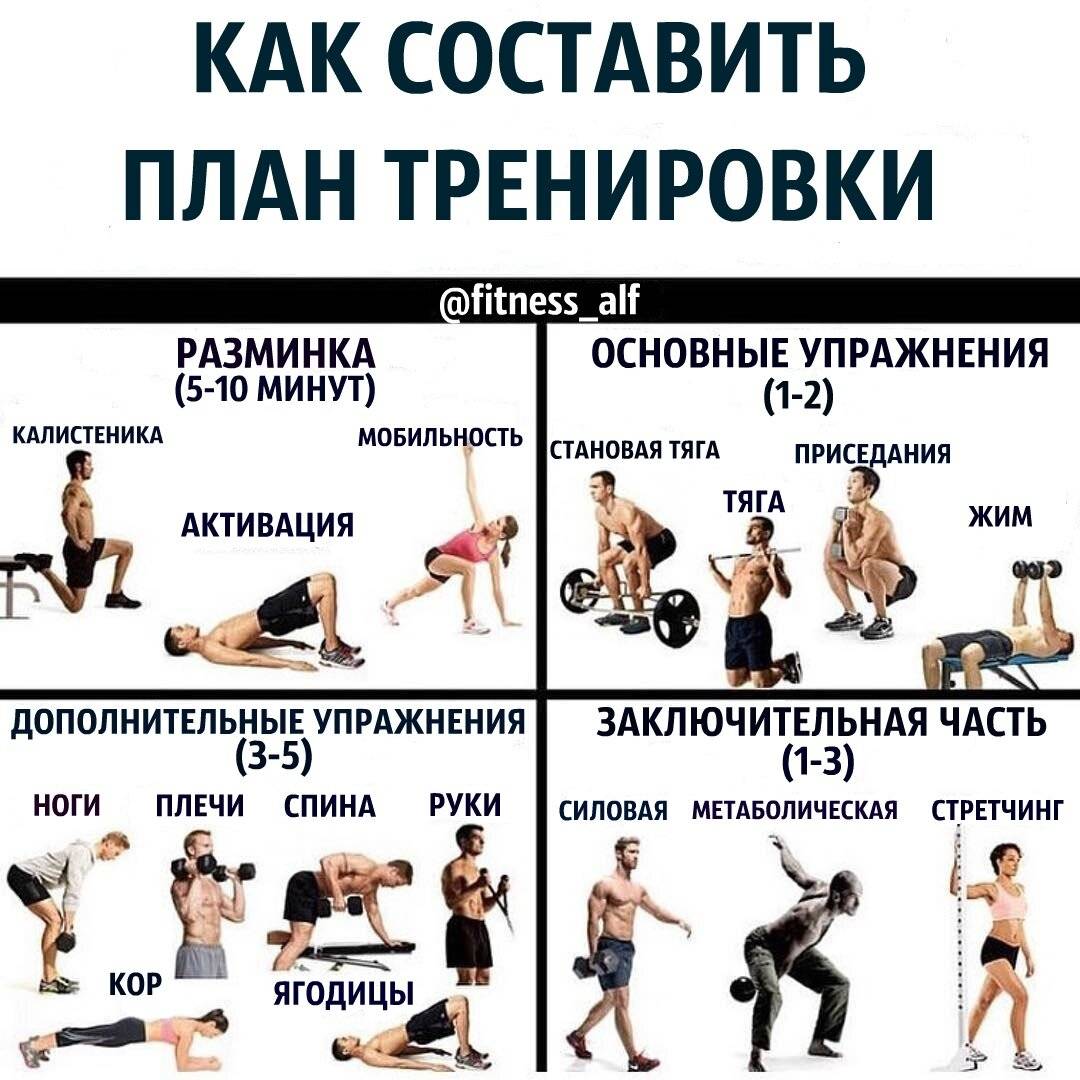 Программа тренировок в тренажерном зале для мужчин
