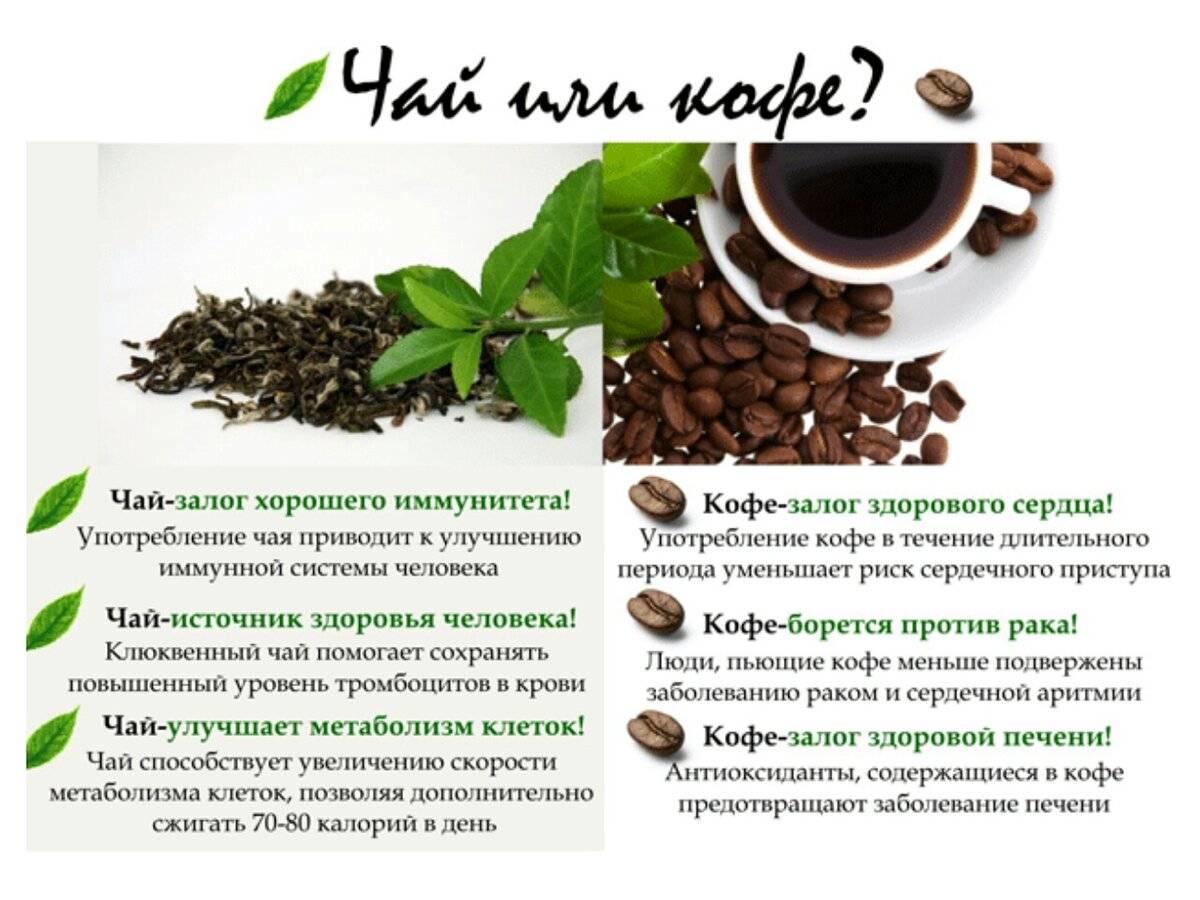 Чай или кофе? делаем правильный выбор - будь здоров!