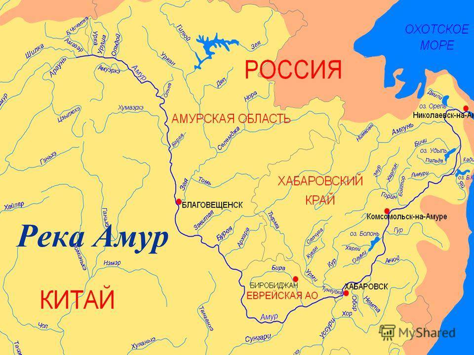 Река волга от истока до устья куда впадает на карте россии