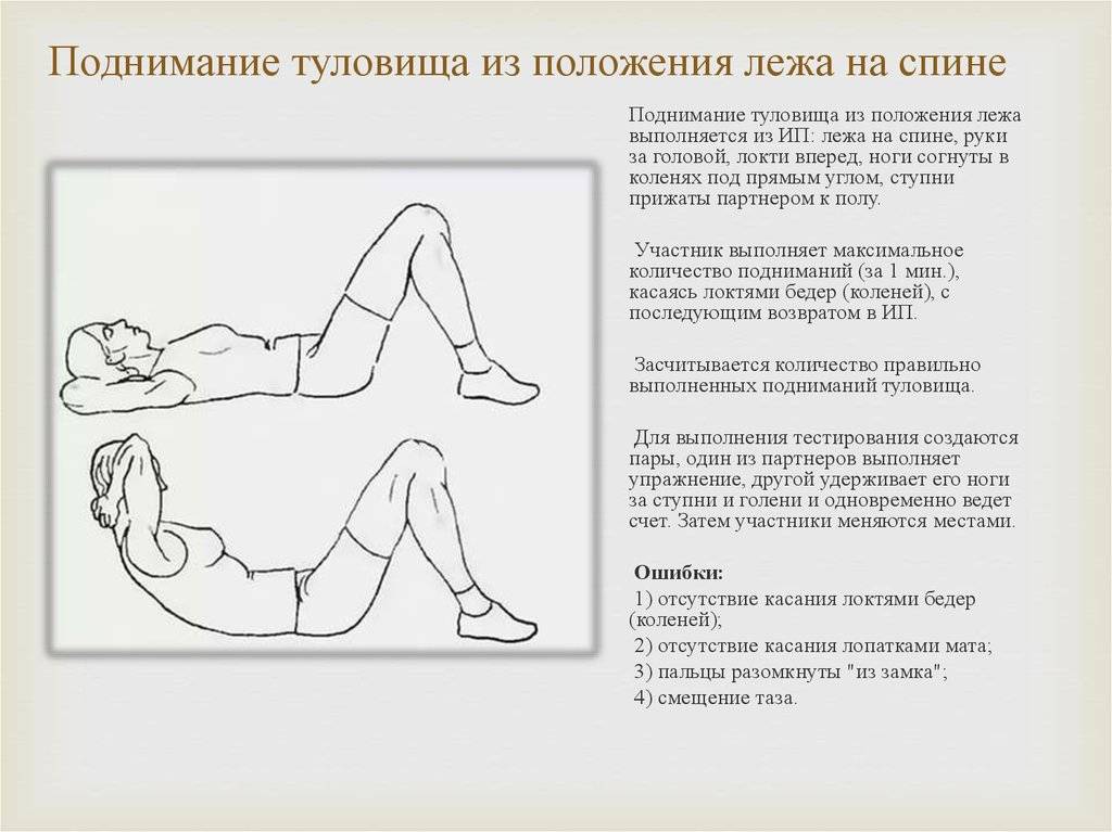 Тренировки в тренажерном зале: виды, методы, цели и задачи - tony.ru