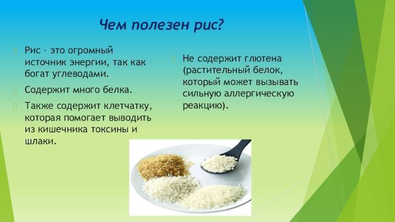 Чем полезен и вреден рис для организма человека: все про пользу и вред разных видов | playboy