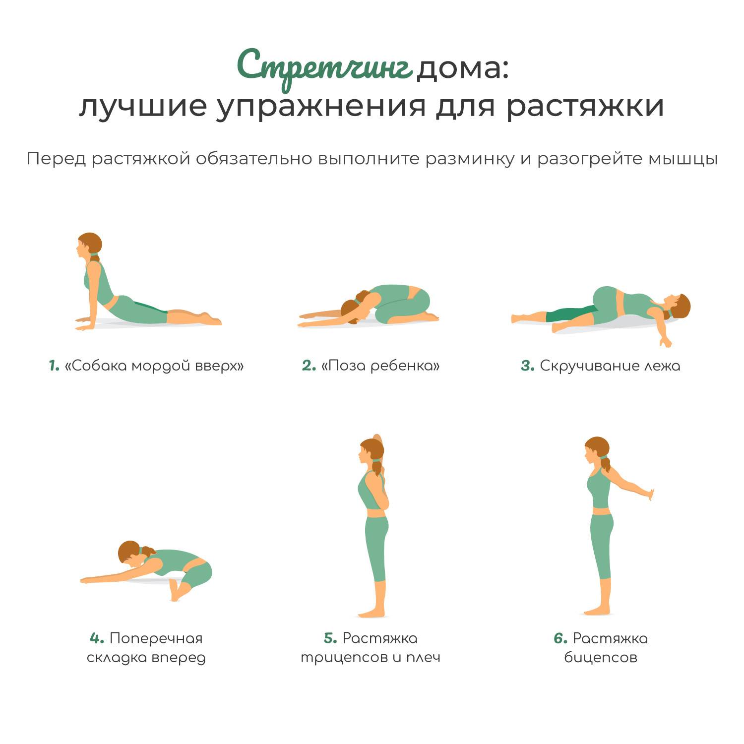 Упражнения на растяжку мышц после тренировки – комплекс упражнений на растяжку на sports.ru