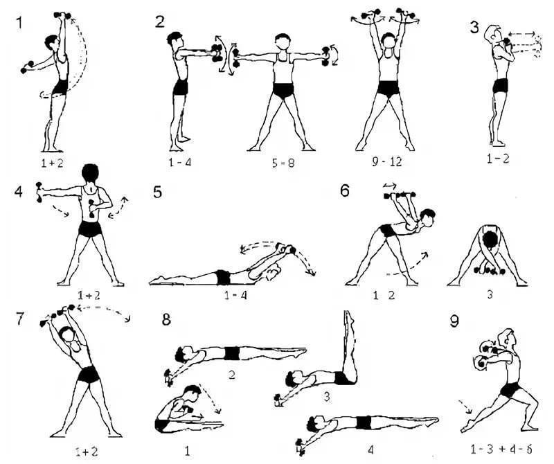 Примерная программа упражнений для женщин с гантелями для эффективных тренировок