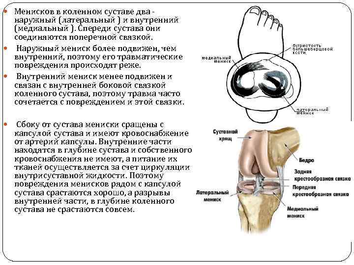 Артроз коленного сустава ️: симптомы, причины, диагностика и лечение