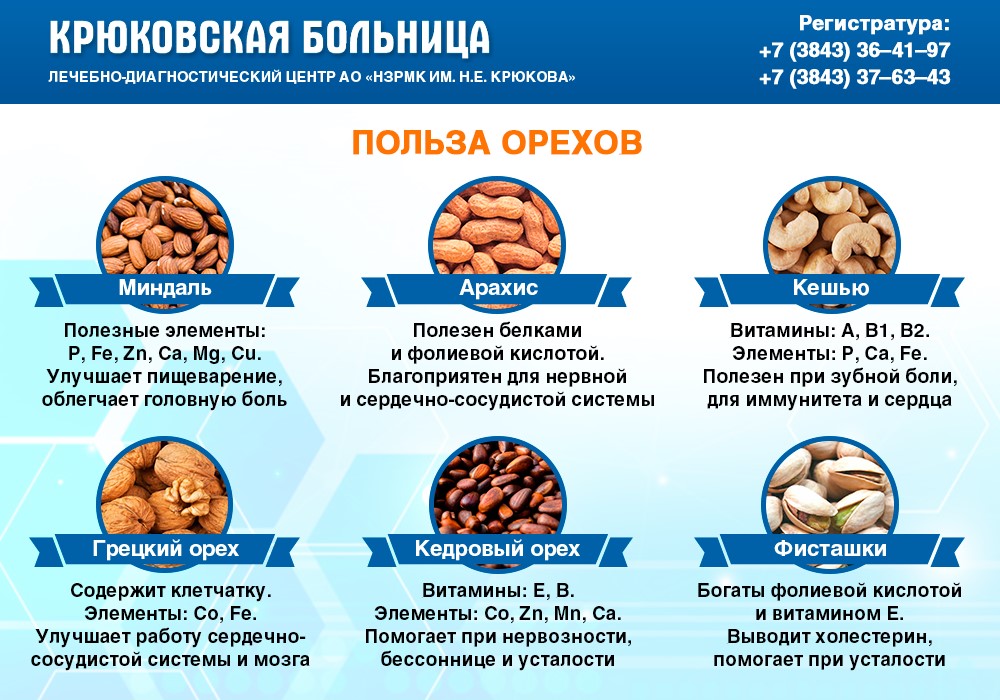 Орехи при похудении: какие едят, можно ли их, сколько в день, на ночь, полезные орехи при диете