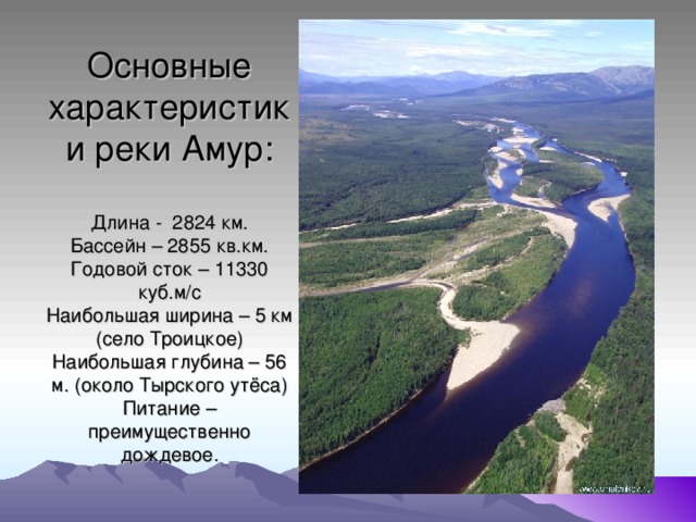 Река амур — описание, общая характеристика и использование » kupuk.net