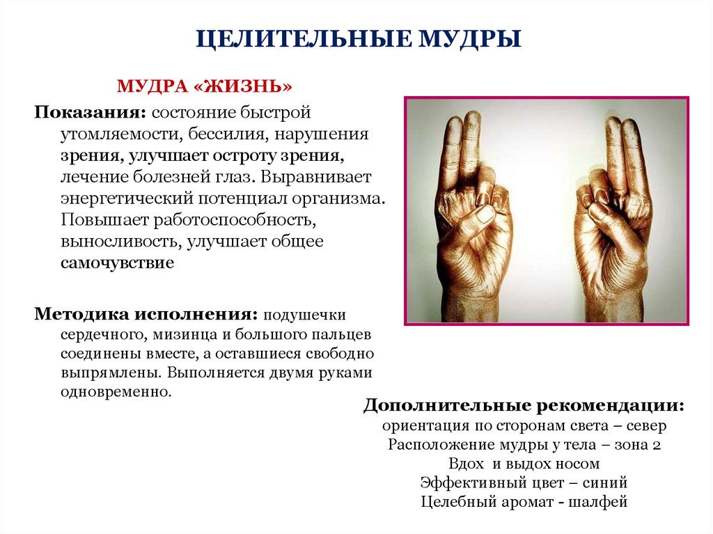 Мудра - ритуальное положение рук. обзор методик практики
