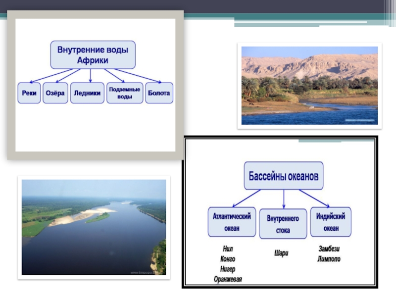 Река нил: обзор и характеристики, притоки, исток, устье