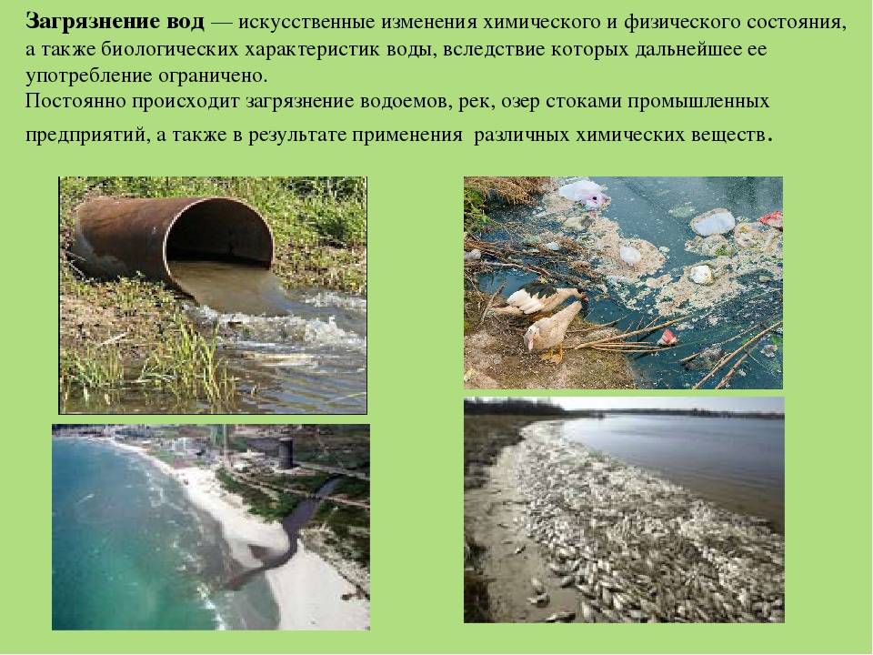 Волга: проблемы, решения, перспективы - великие реки