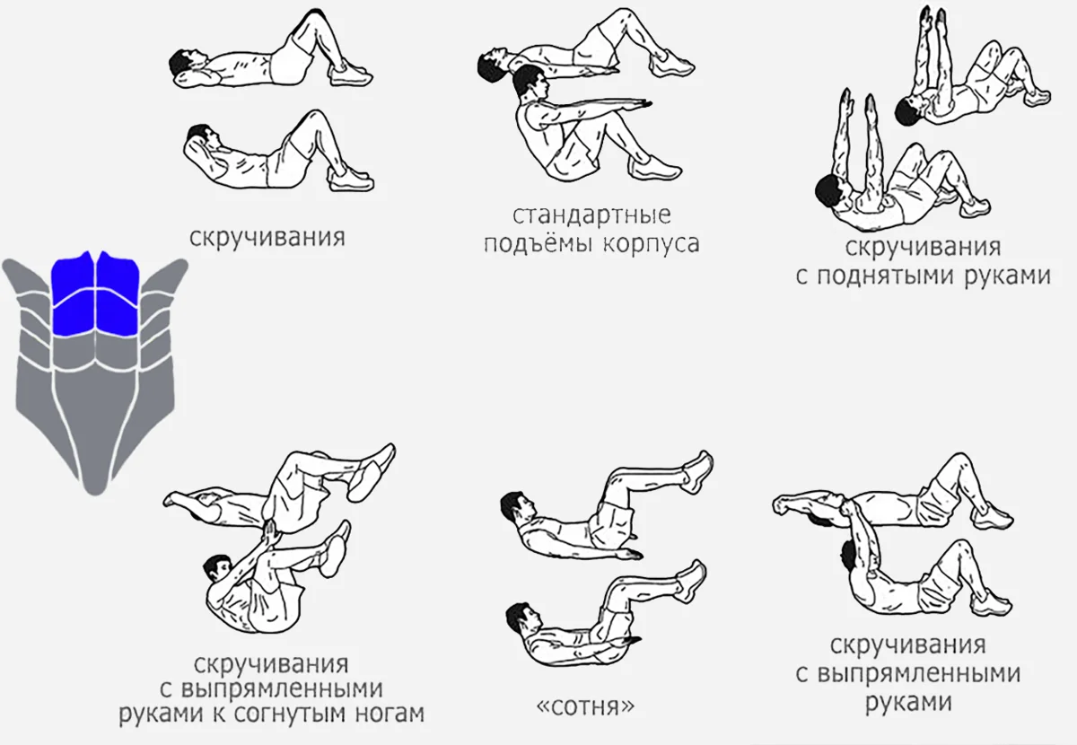 Пилатес - гимнастика для всех. комплекс упражнений