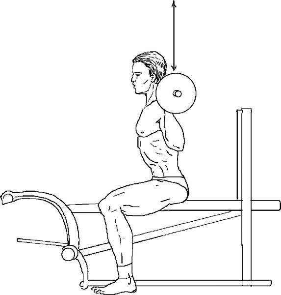 Жим штанги стоя с груди: особенности упражнения и техника выполнения | rulebody.ru — правила тела