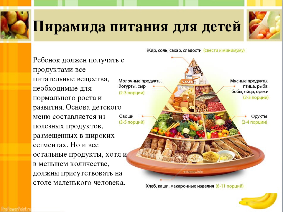 Пирамида питания – цели и рекомендации ученых по здоровому питанию