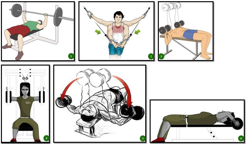 Лучшие упражнения для грудных мышц в тренажерном зале