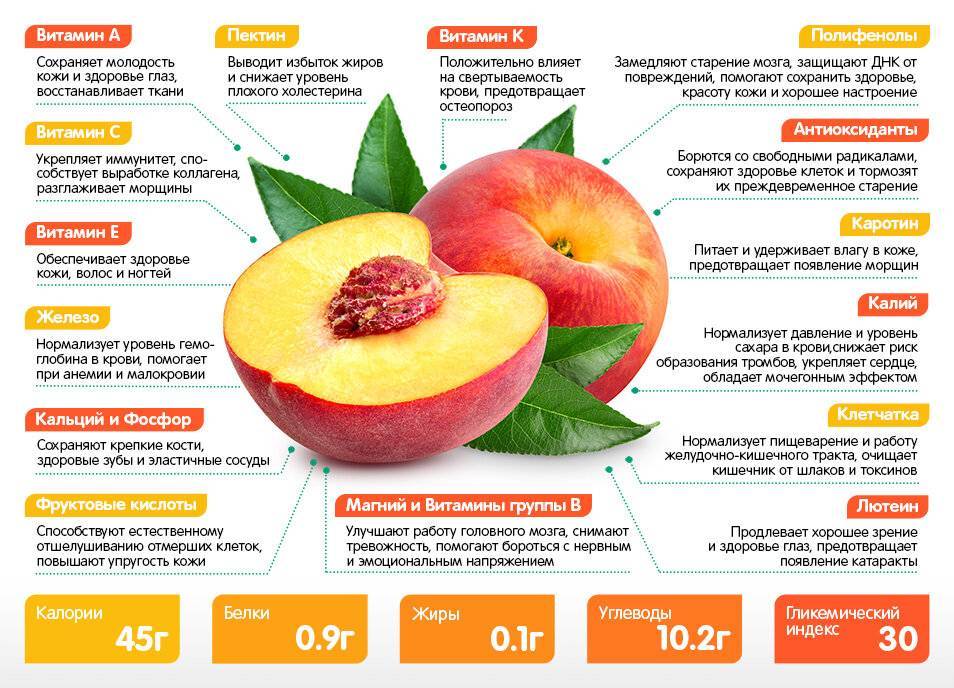 Персик - калорийность фрукта, польза и вред для здоровья