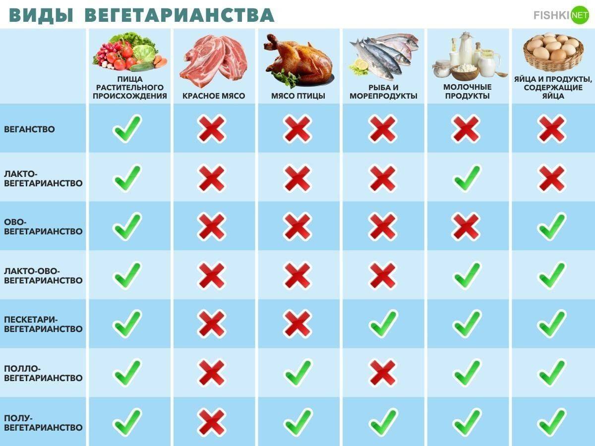 Вегетарианство и спорт. бодибилдинг, как вегетарианцу набрать мышечную массу  - medside.ru