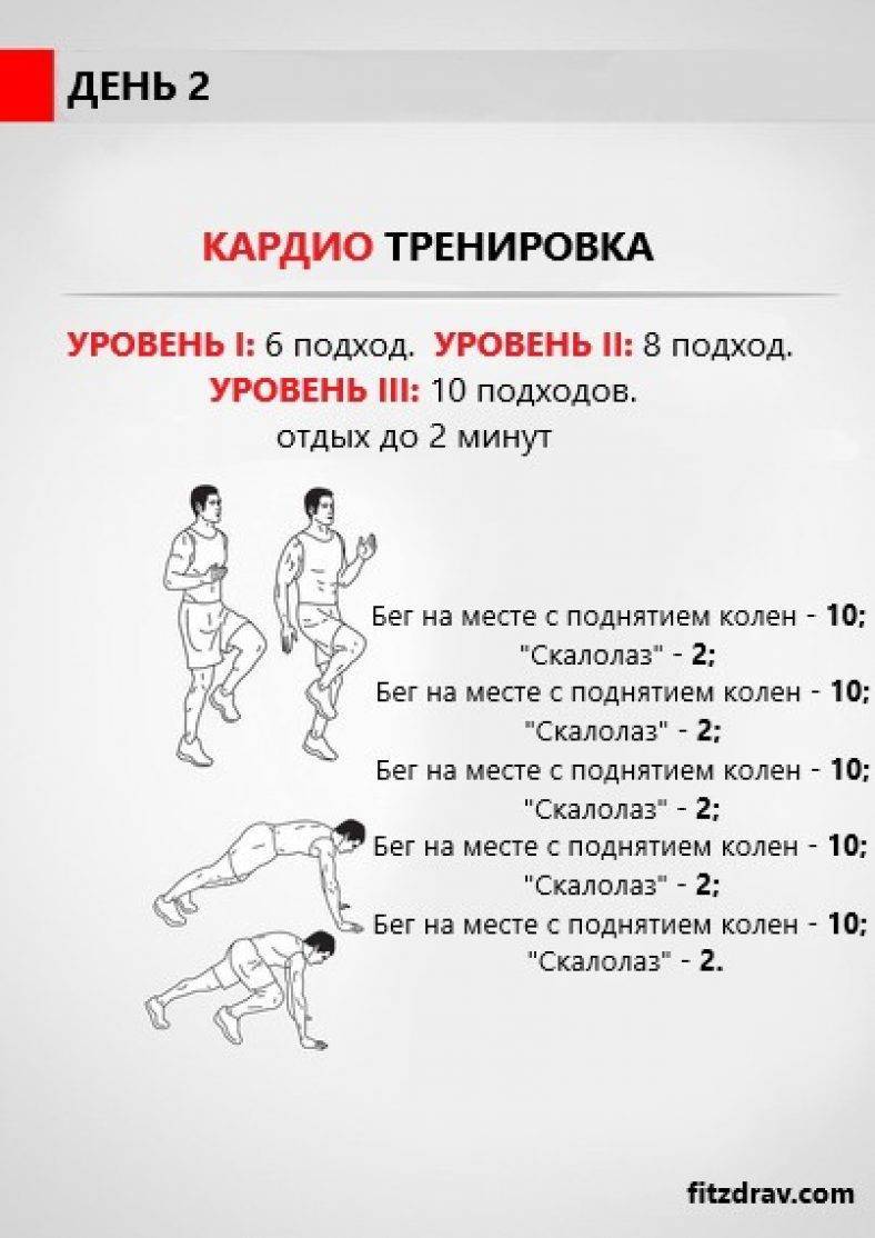 Разминка и кардио тренировки | школа фитнеса (хабаровск)
