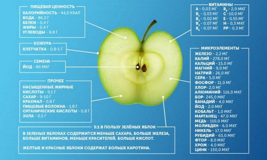 Сколько калорий в яблоке на 100 грамм, бжу в 1шт, энергетическая ценность зеленого, красного, голден, среднего размера