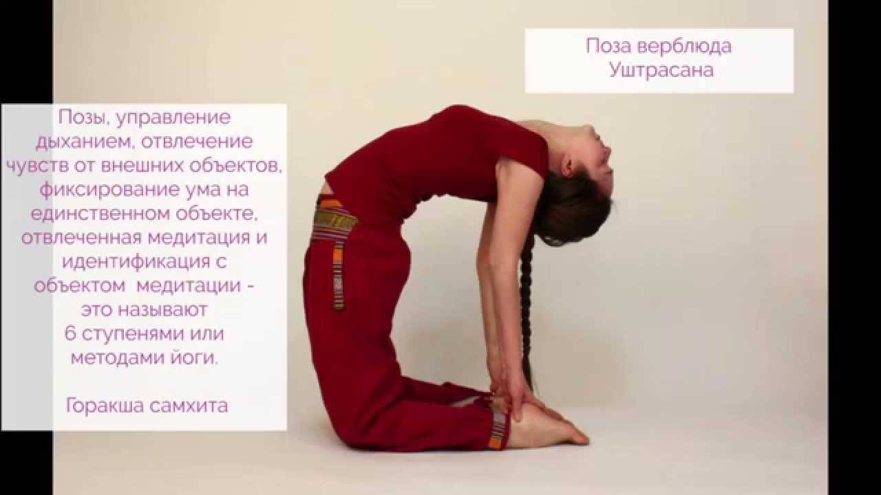 Поза льва для лечения горла: упражнение симхасана в йоге с техникой выполнения, а также фото и видео