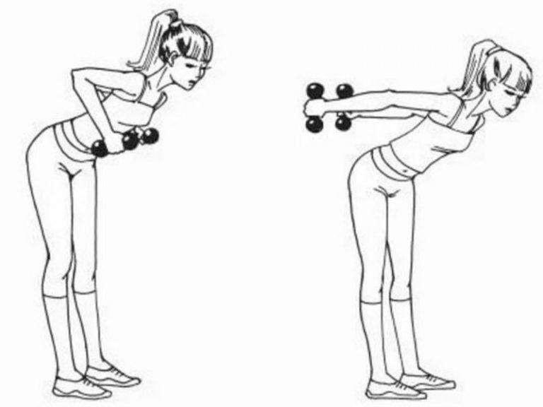 Программа упражнений с гантелями для женщин