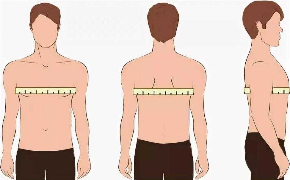 Как расширить плечи и грудную клетку