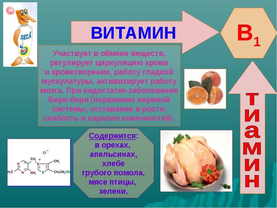 Витамин b4: холин в таблетках, ампулах | food and health