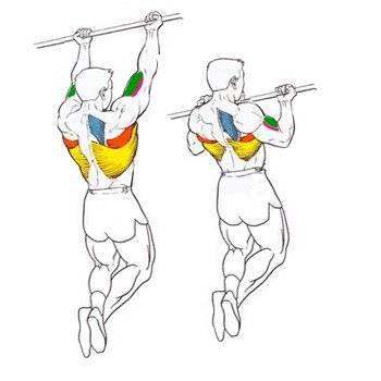 Горизонтальные подтягивания: техника выполнения, какие мышцы работают